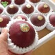 No.9-1 ͭ���ѥå����ե롼�� 1.2kg 7��ܡ�8�����ȯ���ڿ��̸����