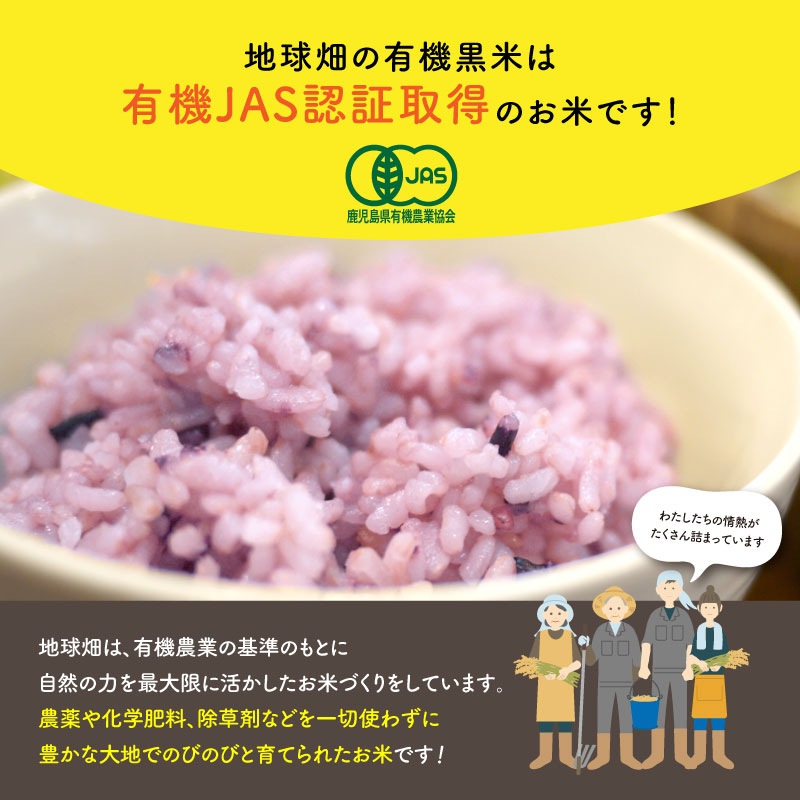 ͭ���ѥå����Ϥ�(����) 150g��20�� �ѥå����Ϥ� �����縩��