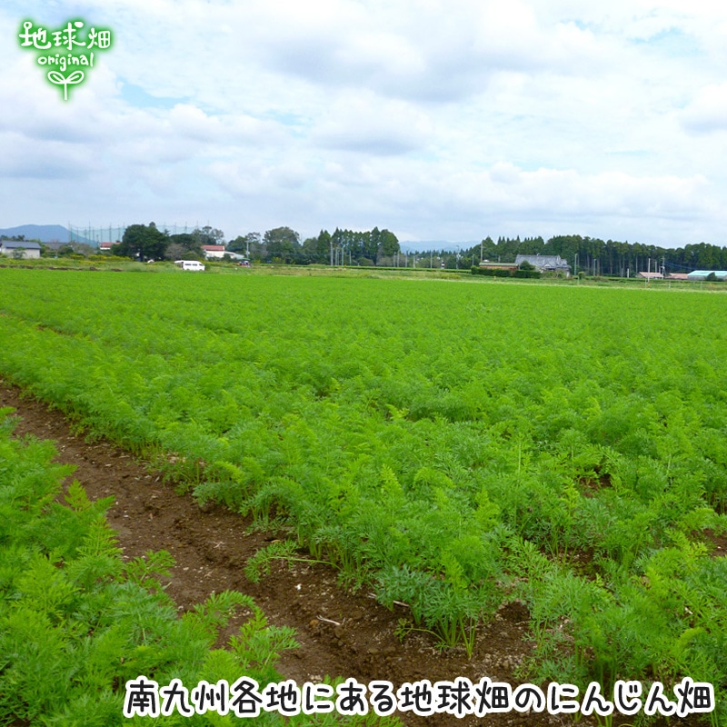 �ͻ����塼����1000ml