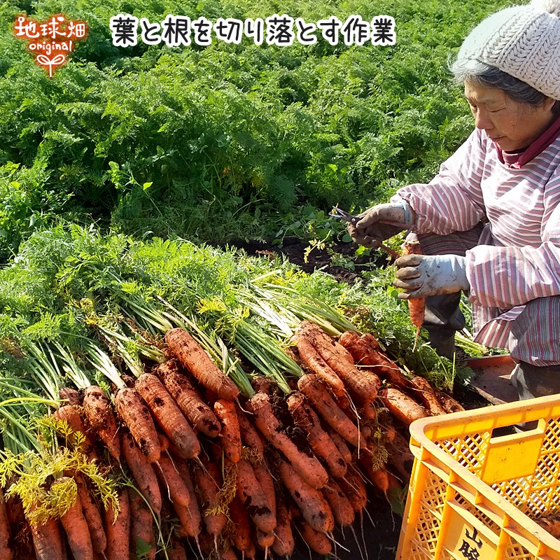 �ͻ����塼����1000ml