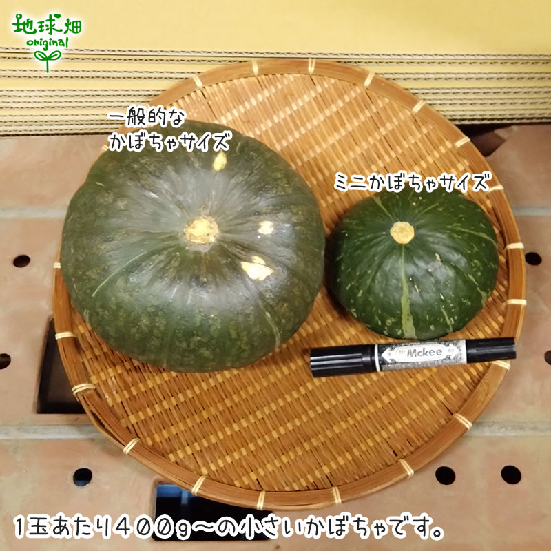 �ߥ�� 1��(��300g��1kg) �ߥˤ��ܤ��� ȯ������7���8��