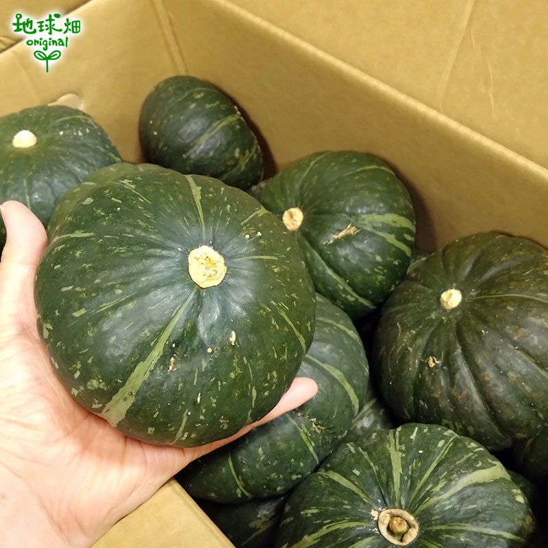 �ߥ�� 1��(��300g��1kg) �ߥˤ��ܤ��� ȯ������7���8��