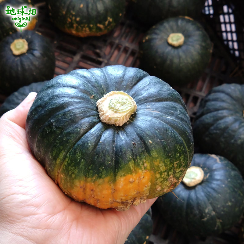 �ߥ�� 1��(��300g��1kg) �ߥˤ��ܤ��� ȯ������7���8��