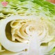 ����٥� ���� (700���) ��¢�� ȯ������12���5����