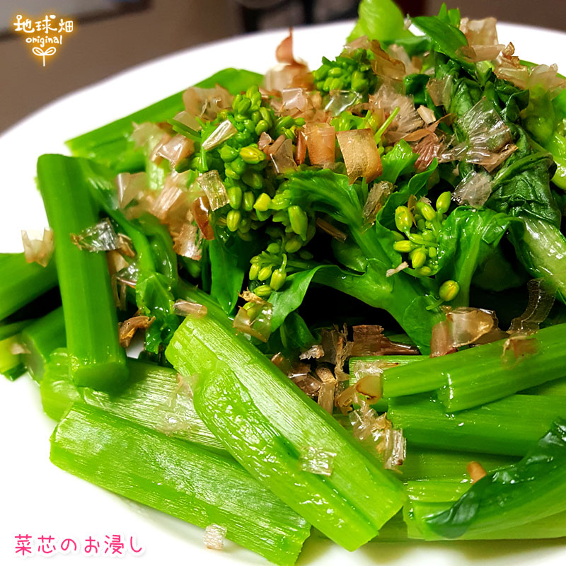菜心 サイシン 150g 10パック パック売り野菜 地球畑 公式 オンラインショップ