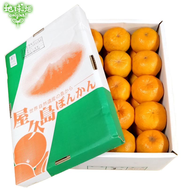 ��2025ǯ12���ȯ����No.3-2 �ϵ�Ȫ��ͭ���ݤ󤫤󥮥ե�5kg ȯ������12��� �ݥ󥫥�