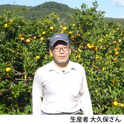 ��2025ǯ12���ȯ����No.3-2 �ϵ�Ȫ��ͭ���ݤ󤫤󥮥ե�5kg ȯ������12��� �ݥ󥫥�