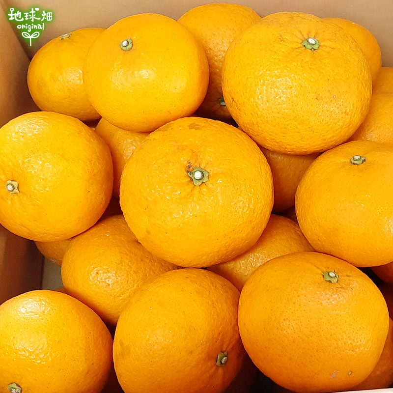 �ȴŲ� 4kg ȯ������1���4��