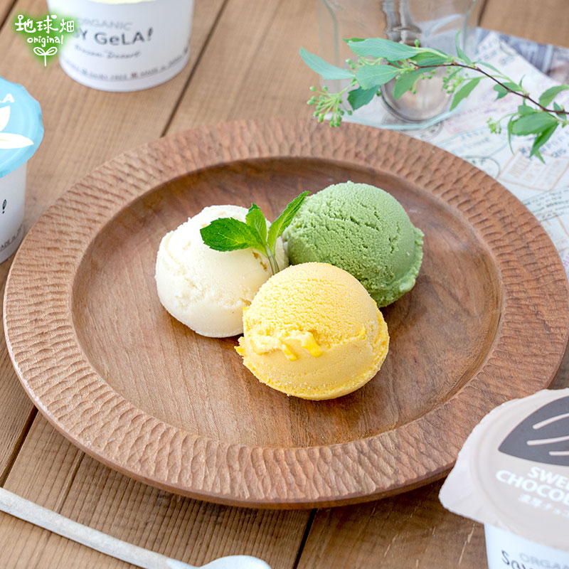 No.14-6 SOY GeLA�������˥å�Ʀ�������顼�� 6�ĥ��å� �����ءڻ���ľ��������̵����