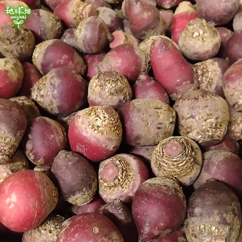�ӡ��� S������ 2kg (1��100g̤��) ��¢��