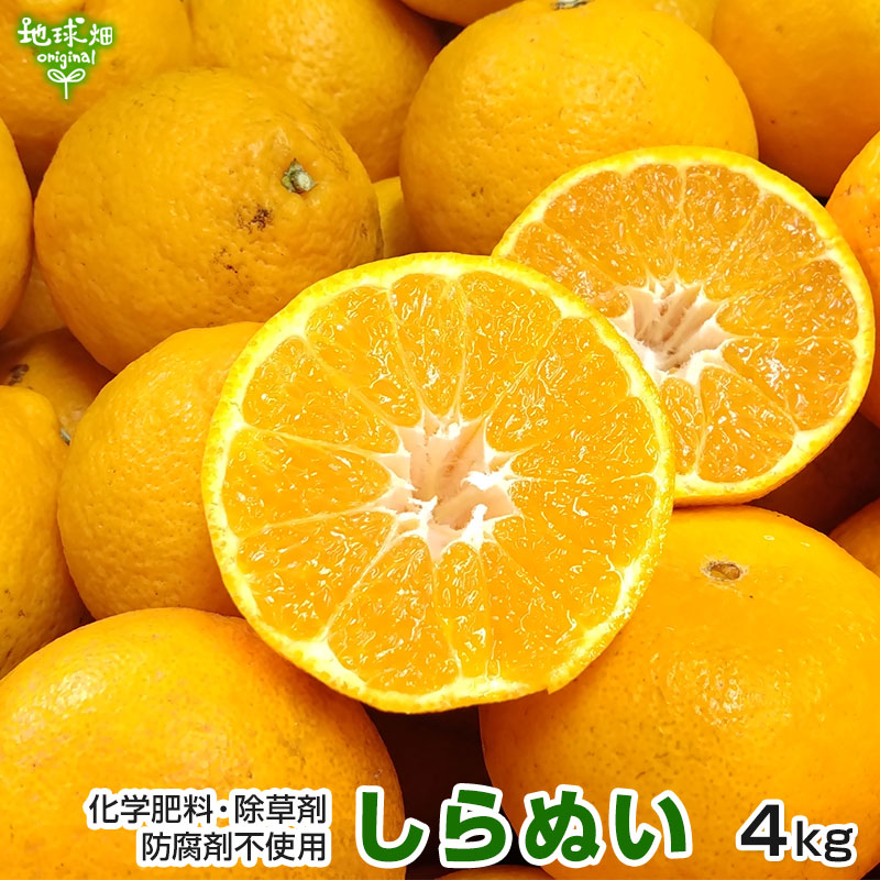 2����ܰʹ�ȯ�� ���β�(����̤�) 4kg ���̺��� ȯ������2���3��