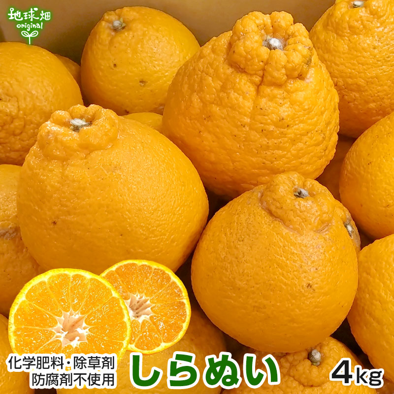 ���β�(����̤�) 4kg ���̺��� ȯ������2���4����