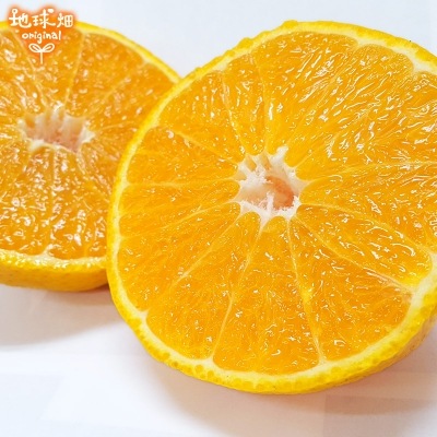 ���β�(����̤�) 4kg ȯ������1��3����