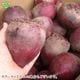 ������ �ӡ��� 4kg ��¢��