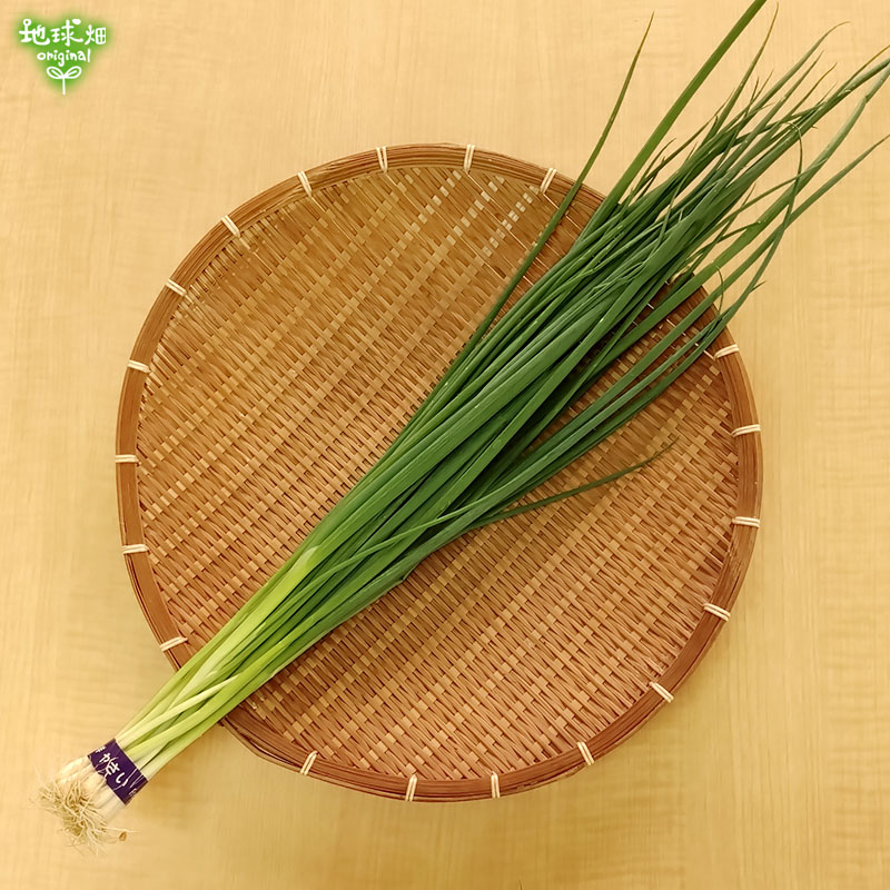 ���ͤ�(�ĥͥ�) 70g ��¢�� ȯ������11���4��