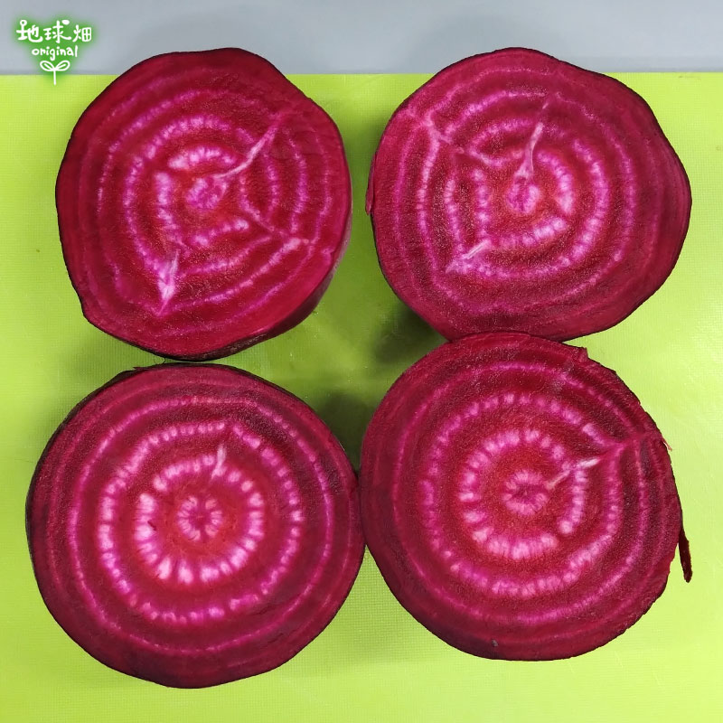 �Ĥ�鷺�� ������ �ӡ��� 9kg ��¢��