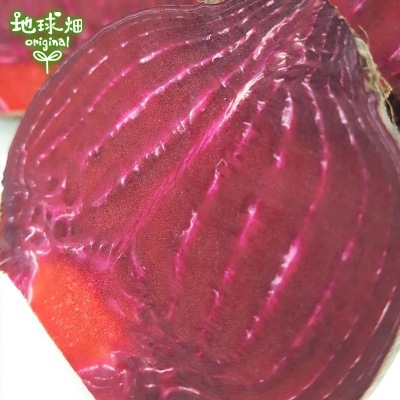�Ĥ�鷺�� ������ �ӡ��� 9kg ��¢��