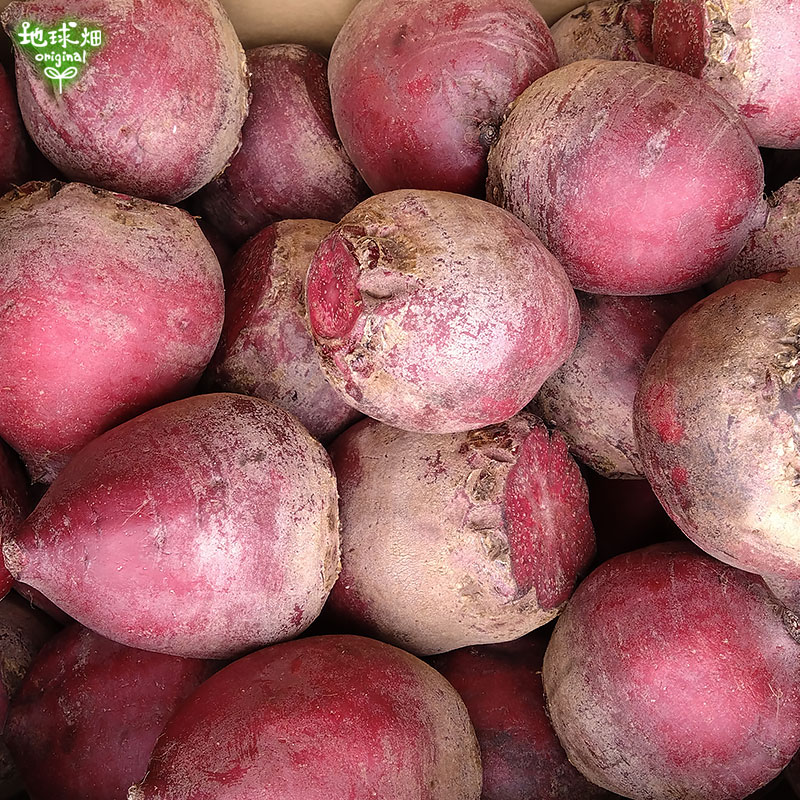 �Ĥ�鷺�� ������ �ӡ��� 9kg ��¢��