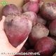 �Ĥ�鷺�� ������ �ӡ��� 9kg ��¢��