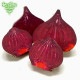 �Ĥ�鷺�� ������ �ӡ��� 9kg ��¢��