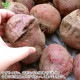 �Ĥ�鷺�� ������ �ӡ��� 9kg ��¢��