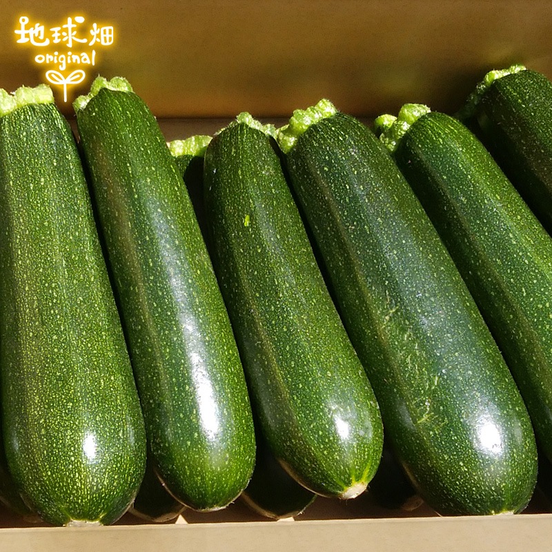 ���å����� 2kg ȯ������4��ܡ�6���ܡ�9��11��