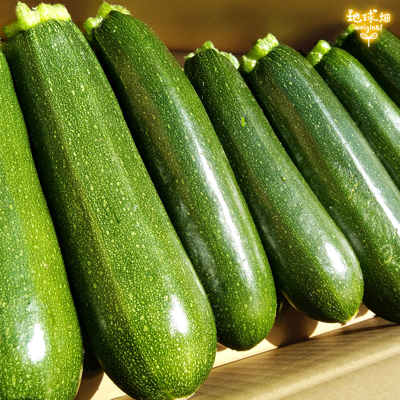 ���å����� 2kg ȯ������4��ܡ�6���ܡ�9��11��
