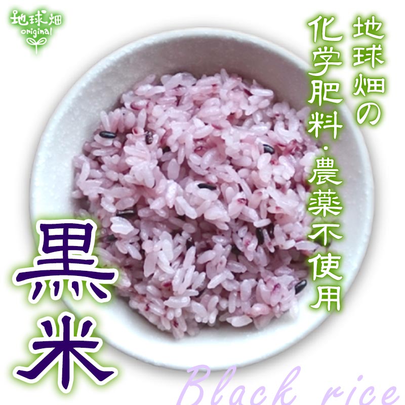 �Ĥ�鷺�� ���� 800g��6p ��4.8kg ���������������Ի���