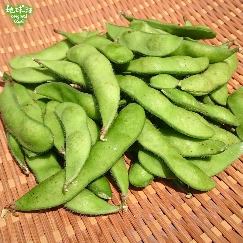 ��Ʀ 4kg �����ޤ� ��¢�� ȯ������6���7��