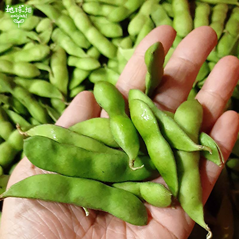 ��Ʀ 4kg �����ޤ� ��¢�� ȯ������6���7��
