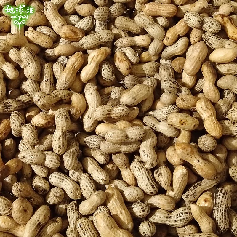������� 2kg 2025ǯ�� ��¢�� ȯ������8����ܡ�9��