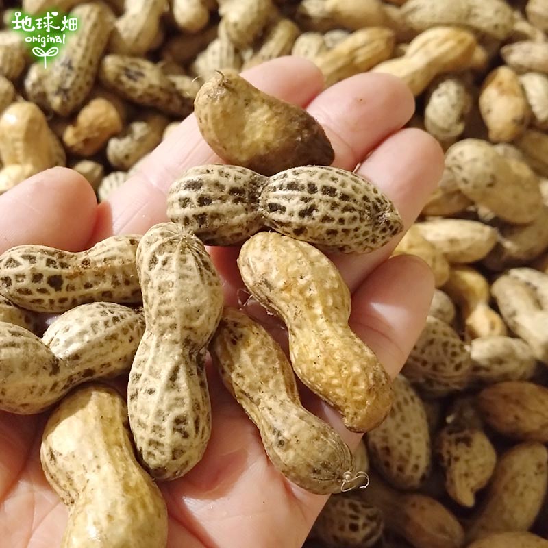 ������� 2kg 2025ǯ�� ��¢�� ȯ������8����ܡ�9��