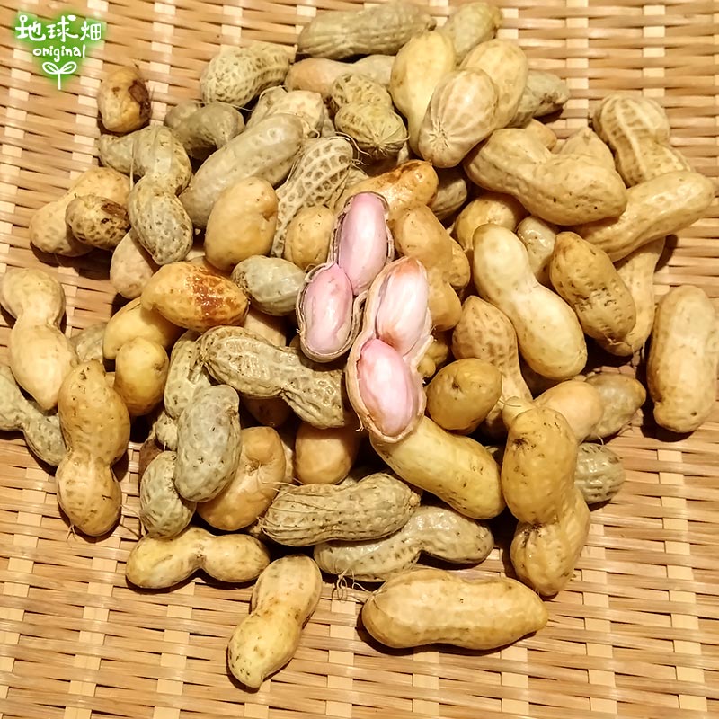 ������� 2kg 2025ǯ�� ��¢�� ȯ������8����ܡ�9��