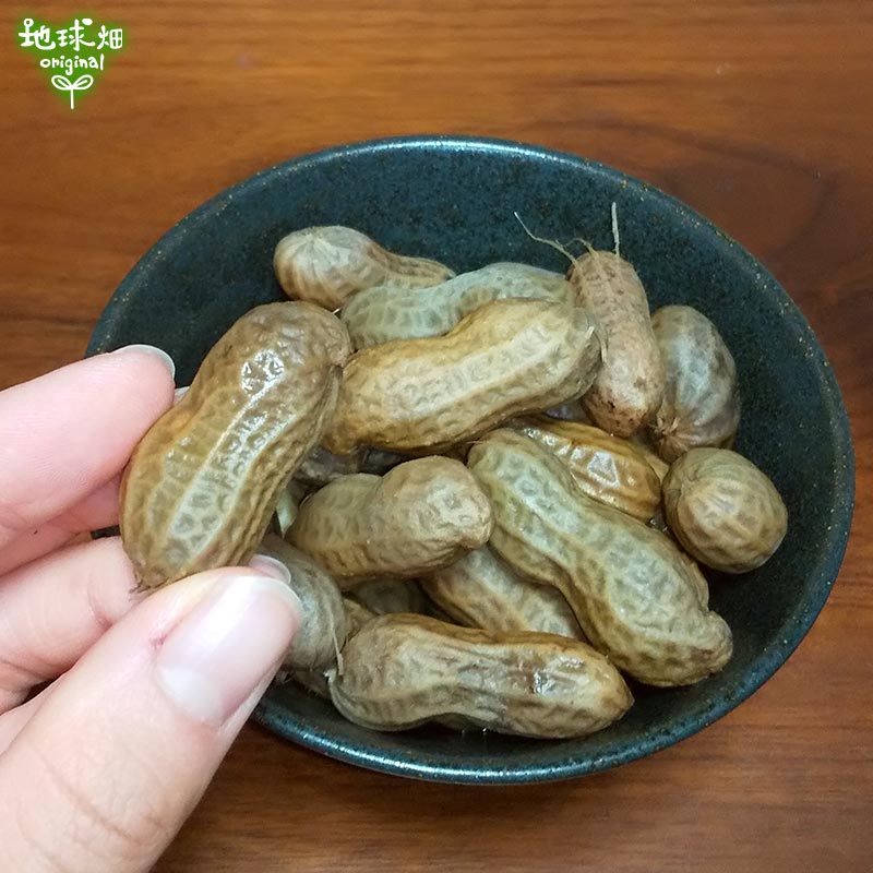 ������� 2kg 2025ǯ�� ��¢�� ȯ������8����ܡ�9��