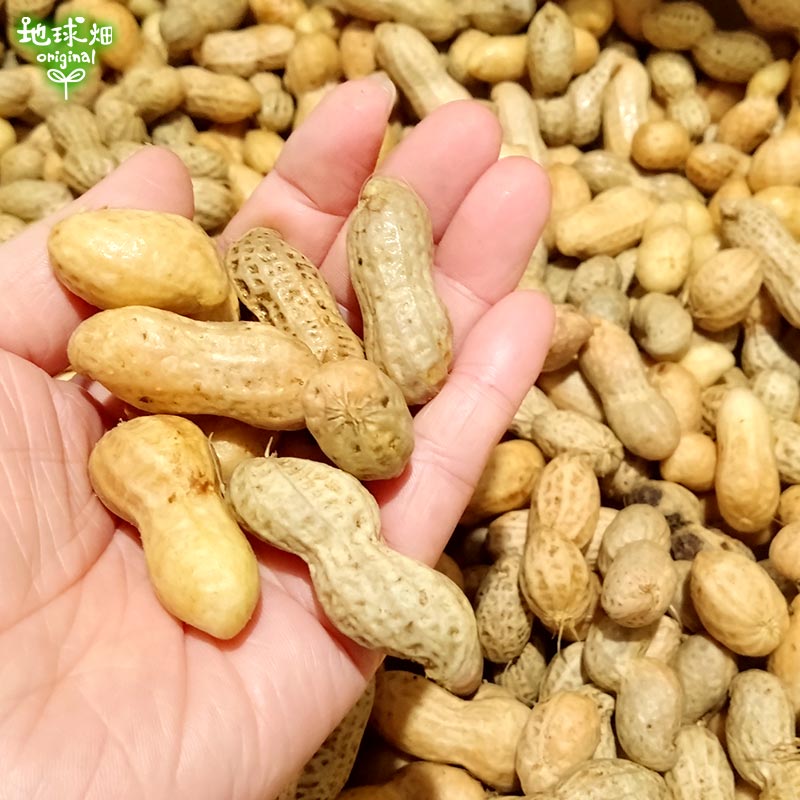 ������� 2kg 2025ǯ�� ��¢�� ȯ������8����ܡ�9��