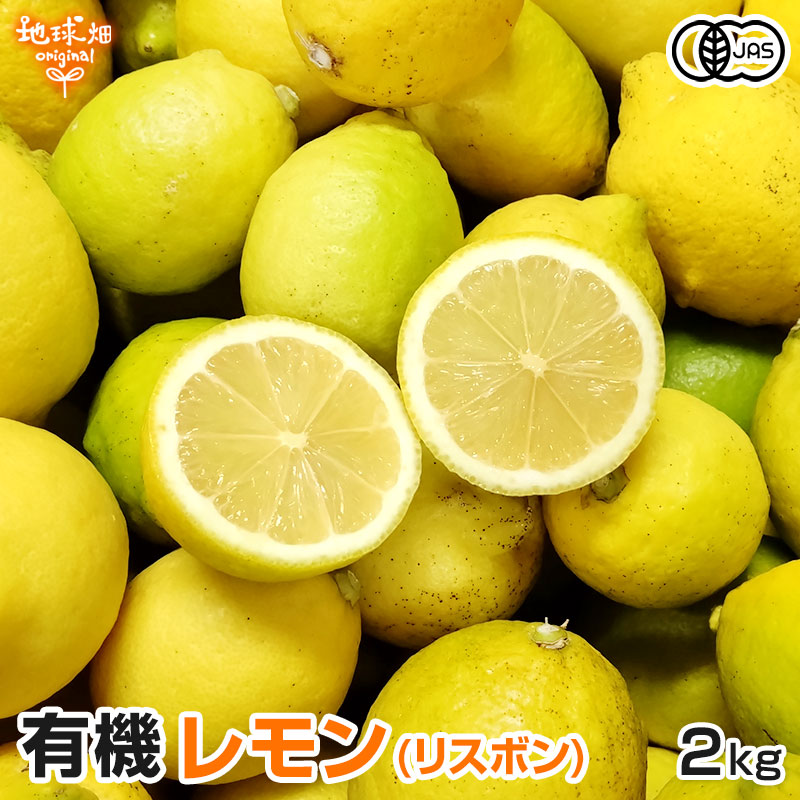 ����(�ꥹ�ܥ�) 2kg ͭ������ ȯ������10���1��