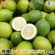 ����(�ꥹ�ܥ�) 2kg ͭ������ ȯ������10���1��
