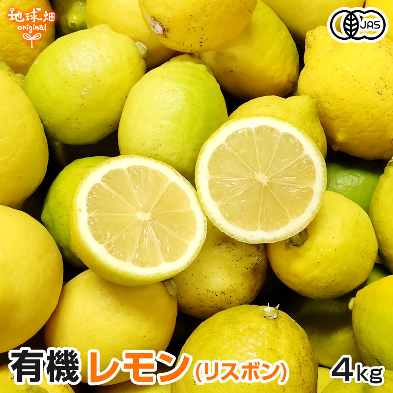 ����(�ꥹ�ܥ�) 4kg ͭ������ ȯ������10���1��