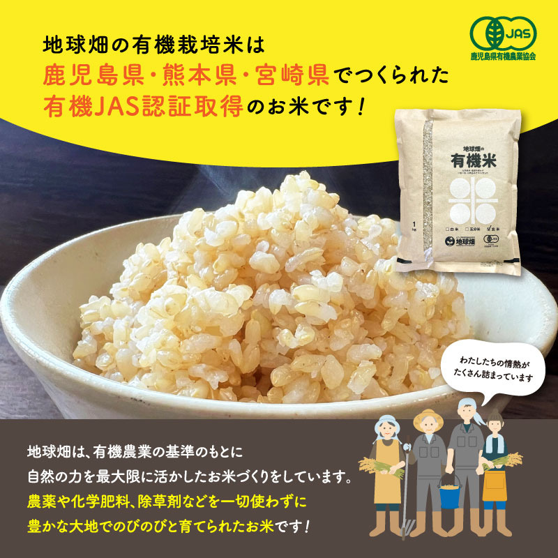 私達が生産しています！ヒノヒカリ（玄米）：約5kg：送料無料！