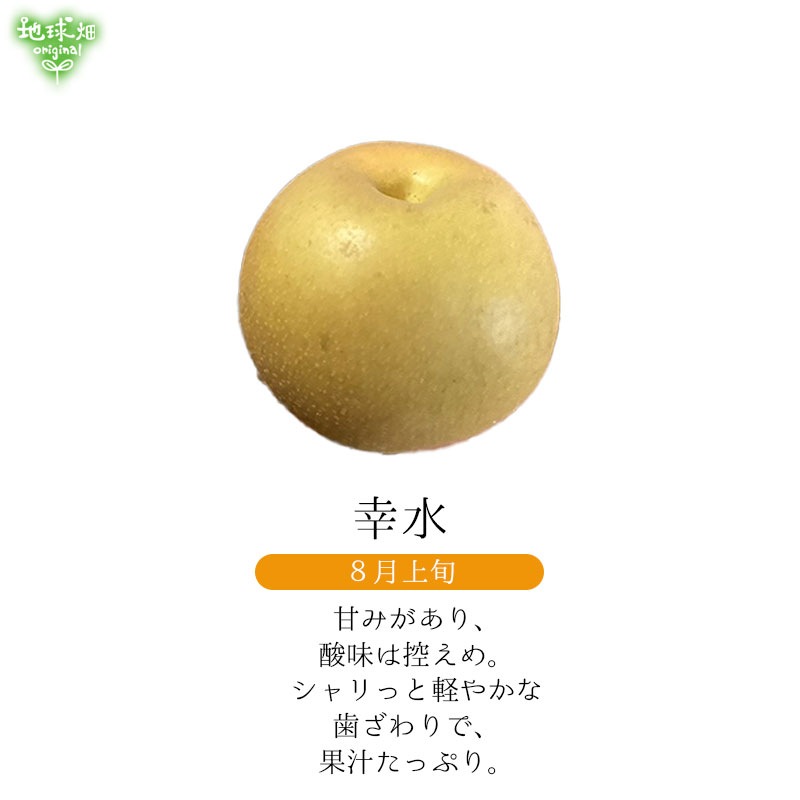 No.9-2 ���Ĥ�Į�Ի�������� 3kg�ڿ��̸��ꡦ����ľ����