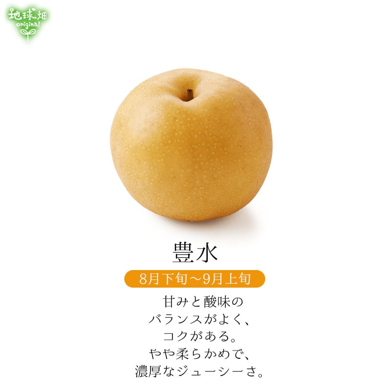 No.9-2 ���Ĥ�Į�Ի�������� 3kg�ڿ��̸��ꡦ����ľ����