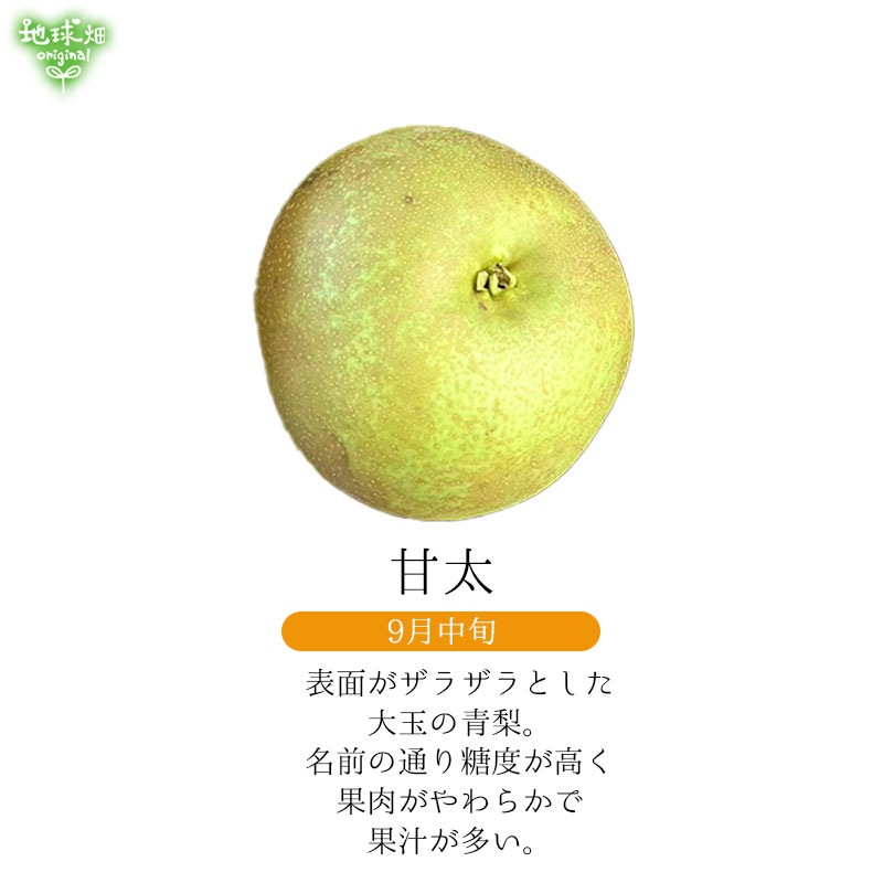 No.9-2 ���Ĥ�Į�Ի�������� 3kg�ڿ��̸��ꡦ����ľ����