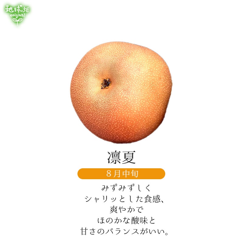 No.9-2 ���Ĥ�Į�Ի�������� 3kg�ڿ��̸��ꡦ����ľ����