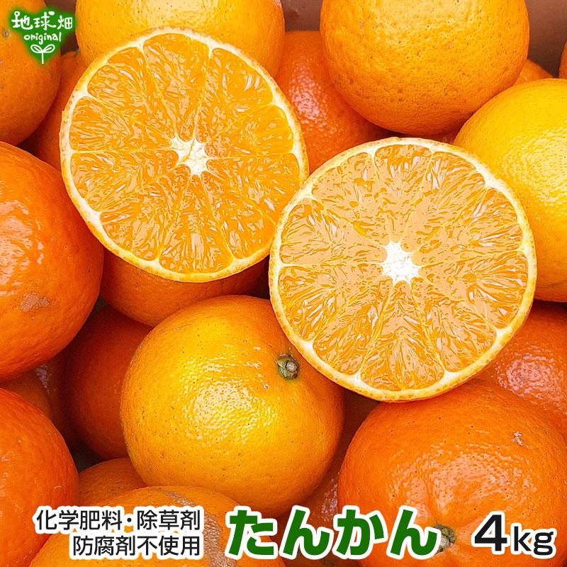 ���󤫤� 4kg ���̺��� ���󥫥� ȯ������2��ܡ�3����
