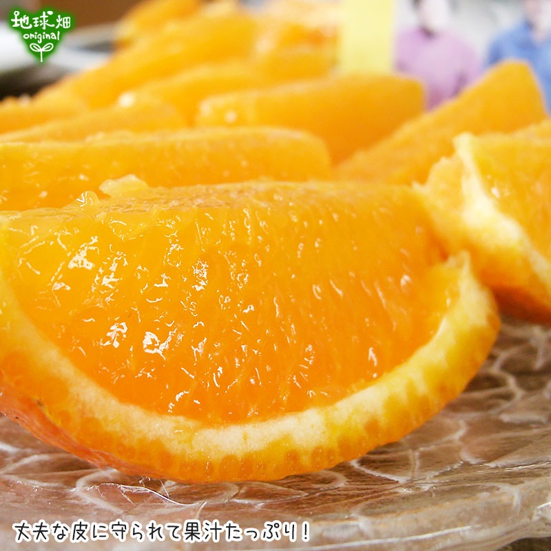 ���󤫤� 4kg ȯ������2���3����