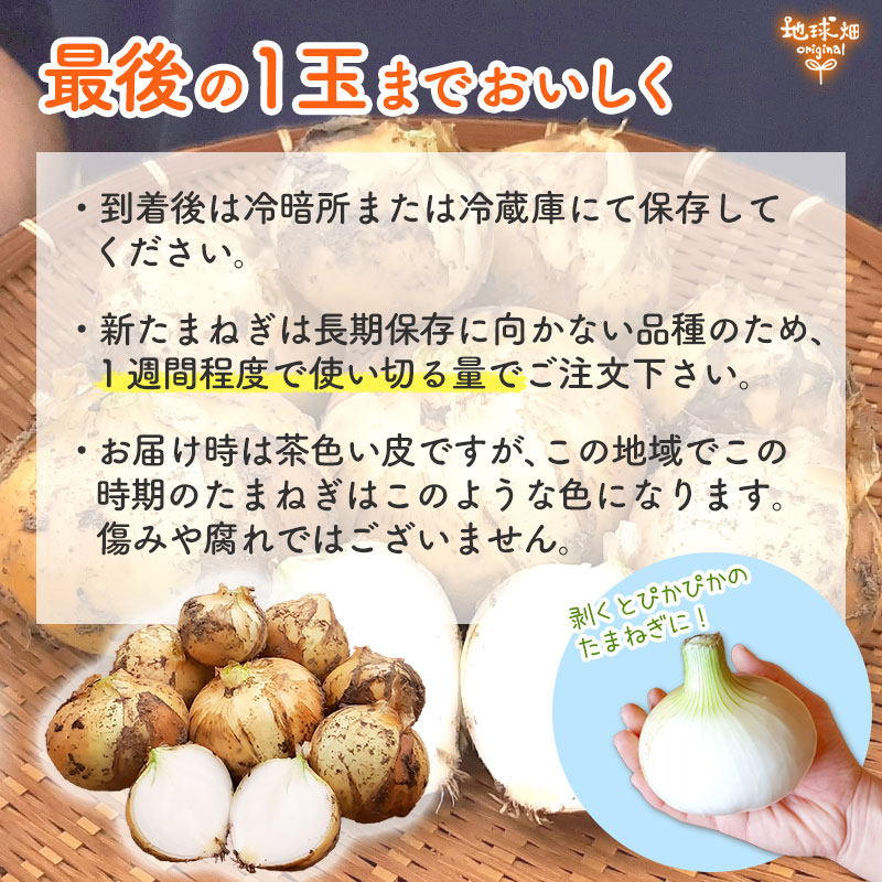 ���䤢�꤬�Ȥ��������ޤ��� ��¼�����ͭ�����ޤͤ� 20kg ȯ������5���7�� �ڻ���ľ��������̵�� �������ϰ����������� ��ľ
