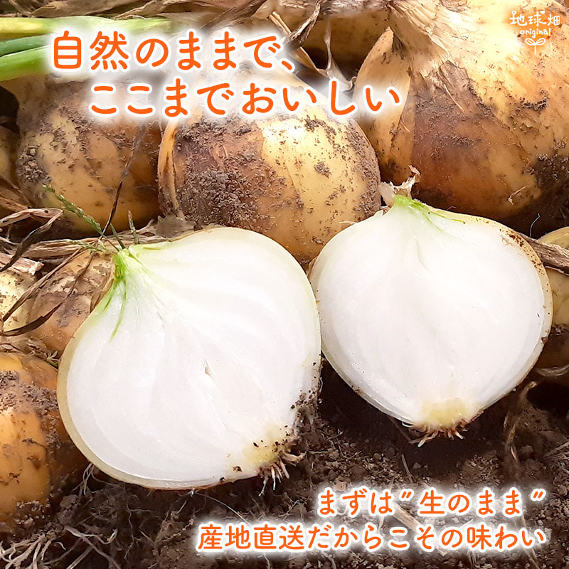 ���䤢�꤬�Ȥ��������ޤ��� ��¼�����ͭ�����ޤͤ� 20kg ȯ������5���7�� �ڻ���ľ��������̵�� �������ϰ����������� ��ľ