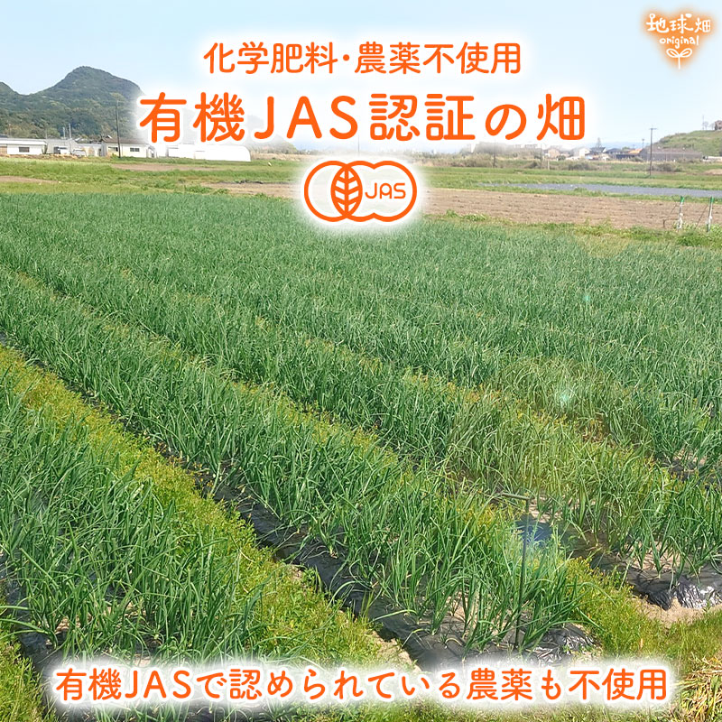 ���䤢�꤬�Ȥ��������ޤ��� ��¼�����ͭ�����ޤͤ� 20kg ȯ������5���7�� �ڻ���ľ��������̵�� �������ϰ����������� ��ľ