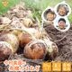 ���䤢�꤬�Ȥ��������ޤ��� ��¼�����ͭ�����ޤͤ� 20kg ȯ������5���7�� �ڻ���ľ��������̵�� �������ϰ����������� ��ľ