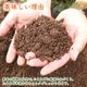 ���䤢�꤬�Ȥ��������ޤ��� ��¼�����ͭ�����ޤͤ� 20kg ȯ������5���7�� �ڻ���ľ��������̵�� �������ϰ����������� ��ľ